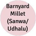 Barnyard Millet (Sanwa | Udhalu)